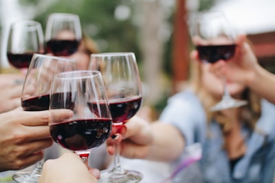 Perfect Wine Pairings for Costa Rican Cuisine
